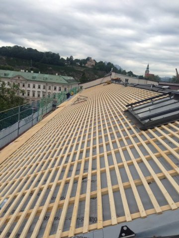 Rothboeck_Zimmerei_Holzbau_Dachsanierung6.jpg