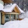 dachwartung_holzbau_schartner_wagrain_2.jpg