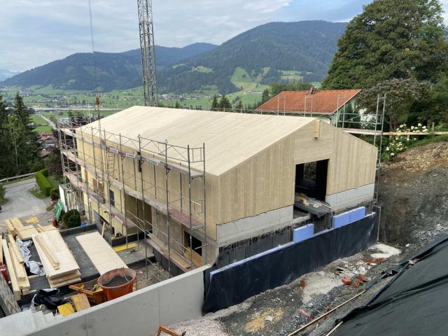 Burgschwaiger_Schwarzach_0001.jpg
